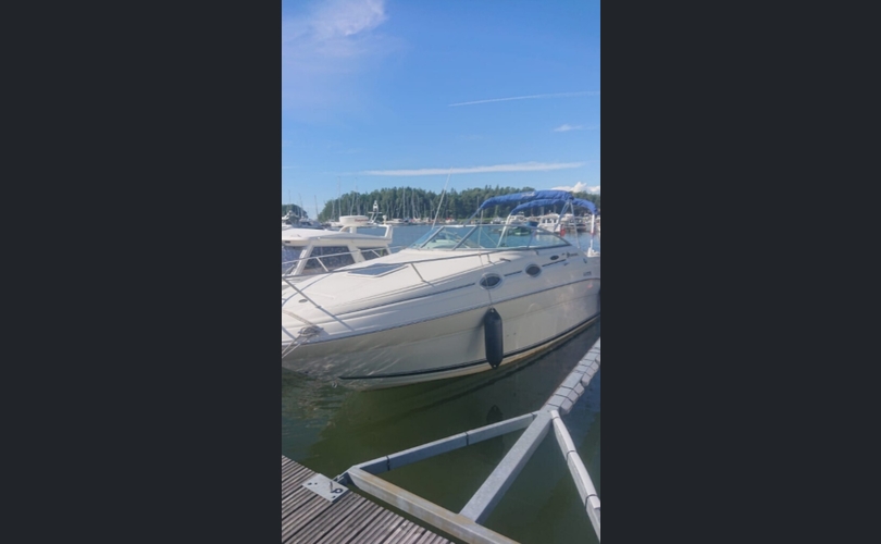 Sea Ray 240 Sundancer-kuva-8